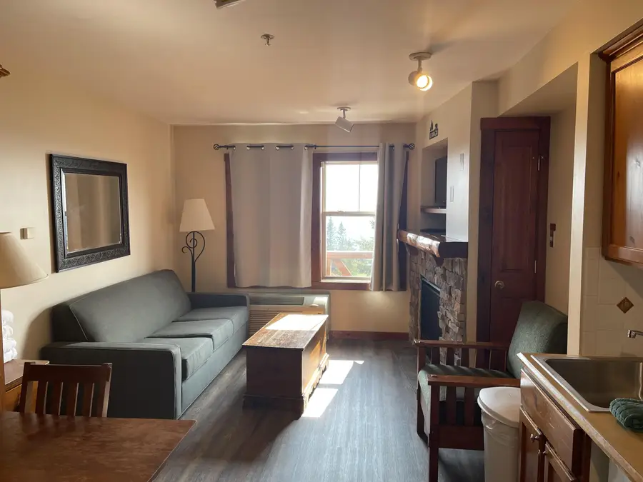 6175 Snowshoe Dr, Snowshoe, WV 26209 - Image #3