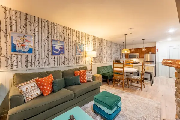 313 Rimfire Lodge, Snowshoe, WV 26209