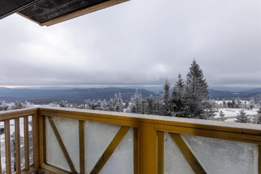 313 Rimfire Lodge, Snowshoe, WV 26209 - Image #2