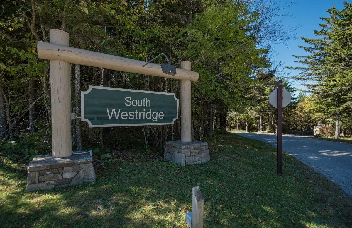 84 South West Ridge Road, Snowshoe, WV 26209 - Image #1