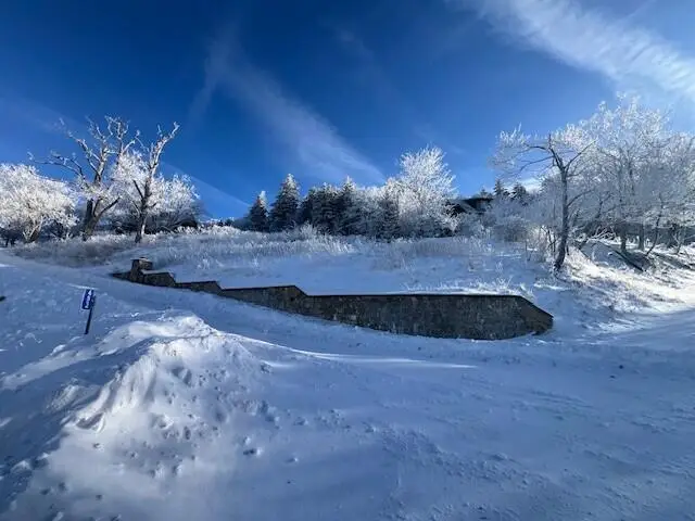 84 South West Ridge Road, Snowshoe, WV 26209 - Image #2