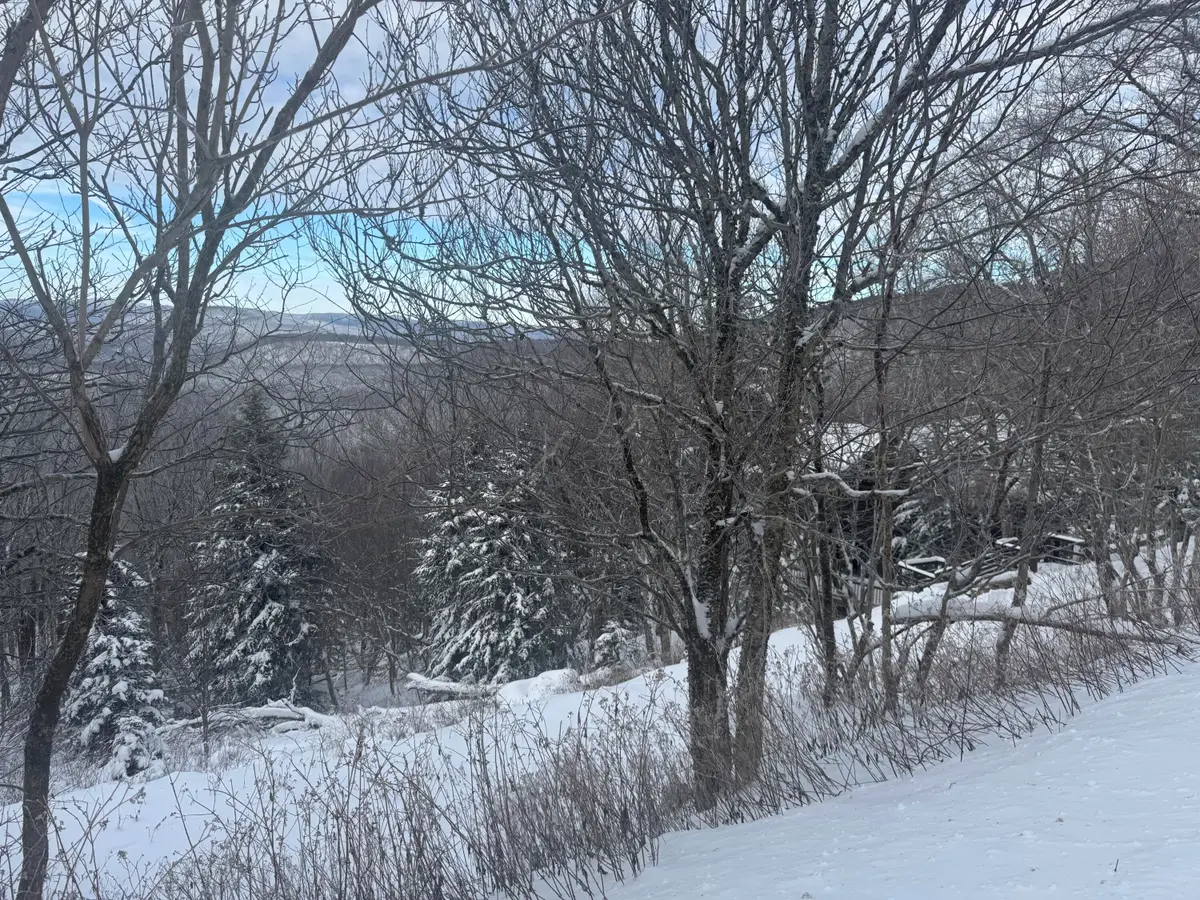 476 North West Ridge, Snowshoe, WV 26209 - Image #1