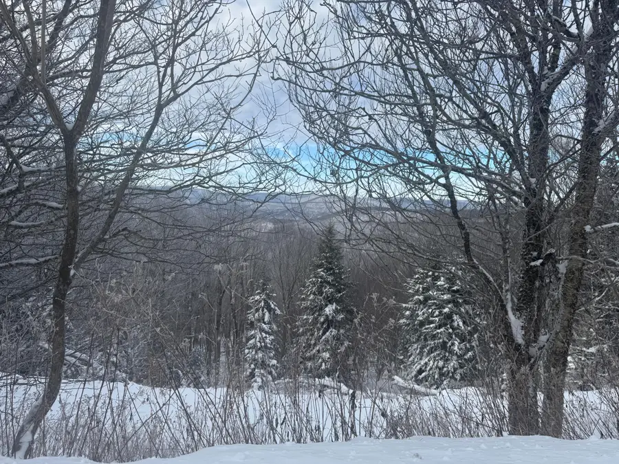 476 North West Ridge, Snowshoe, WV 26209 - Image #2