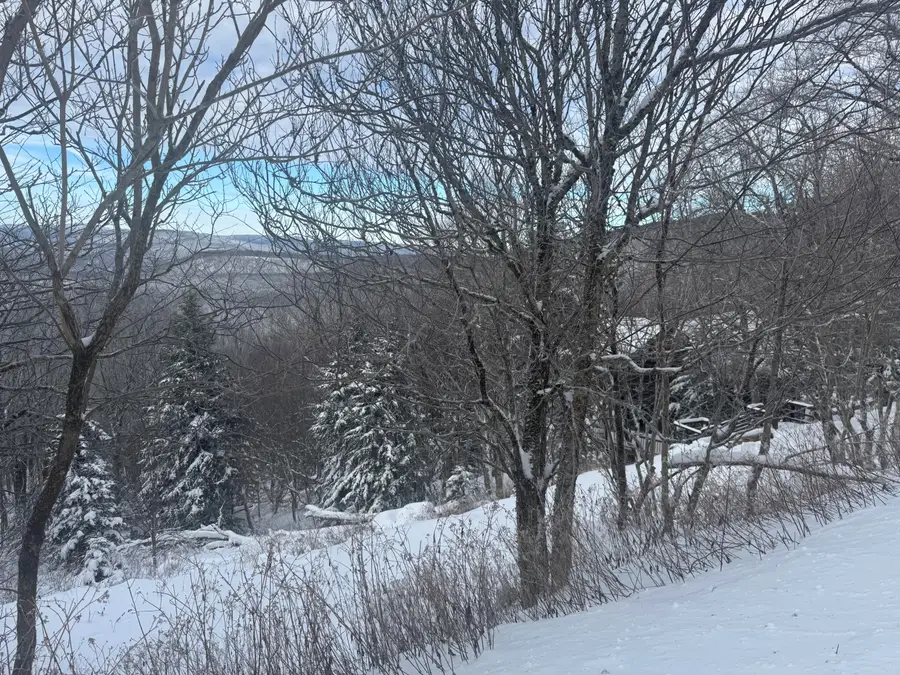 476 North West Ridge, Snowshoe, WV 26209 - Image #3