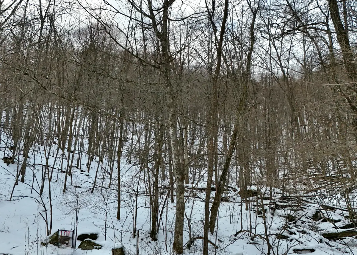 Lot D2 Gobblers Lane, Hillsboro, WV 24946 - Image #1