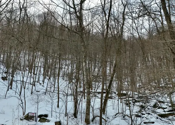 Lot D2 Gobblers Lane, Hillsboro, WV 24946