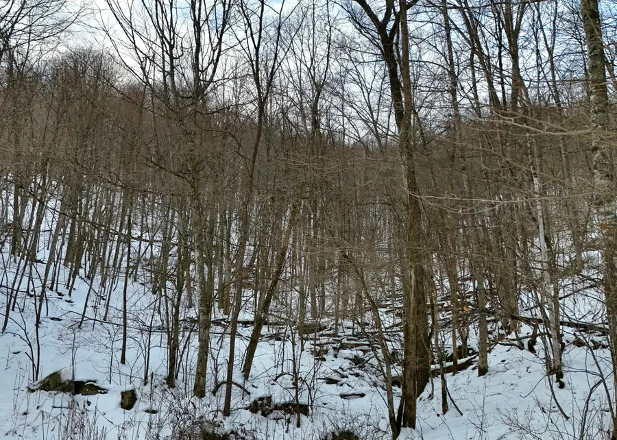 Lot D2 Gobblers Lane, Hillsboro, WV 24946 - Image #2