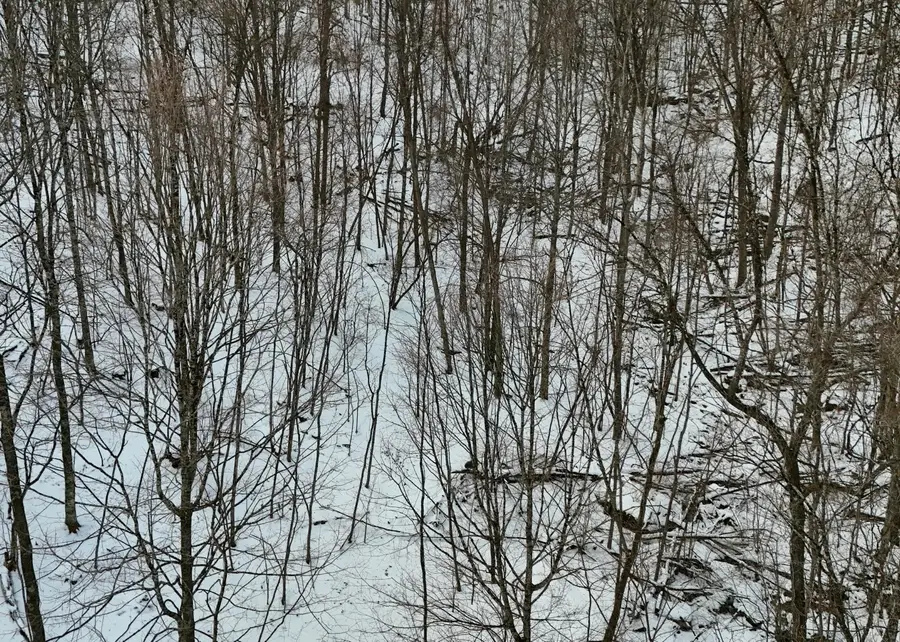 Lot D2 Gobblers Lane, Hillsboro, WV 24946 - Image #3