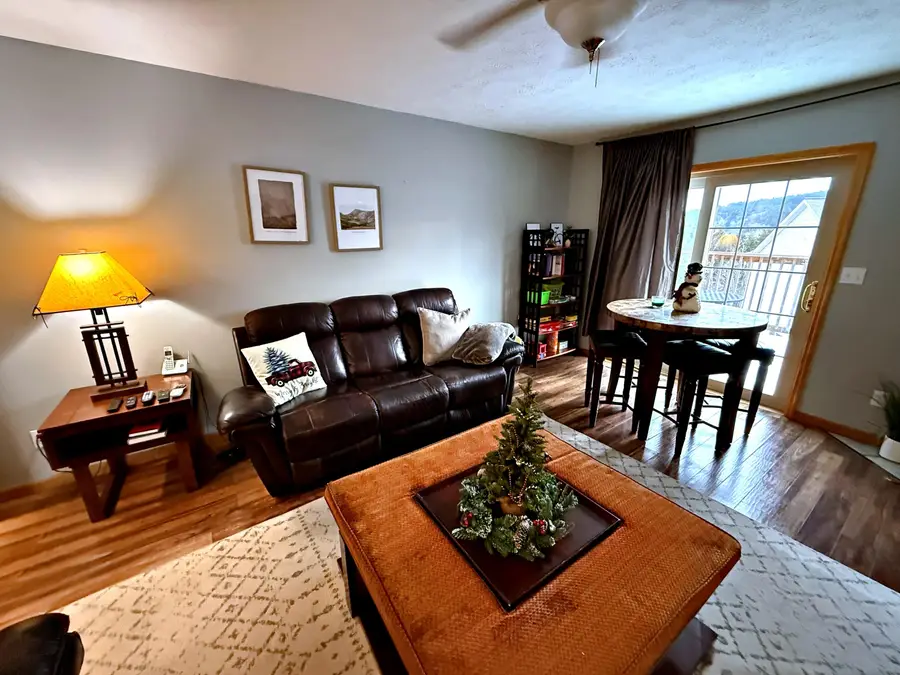 31 Creekside Dr, Snowshoe, WV 26291 - Image #3