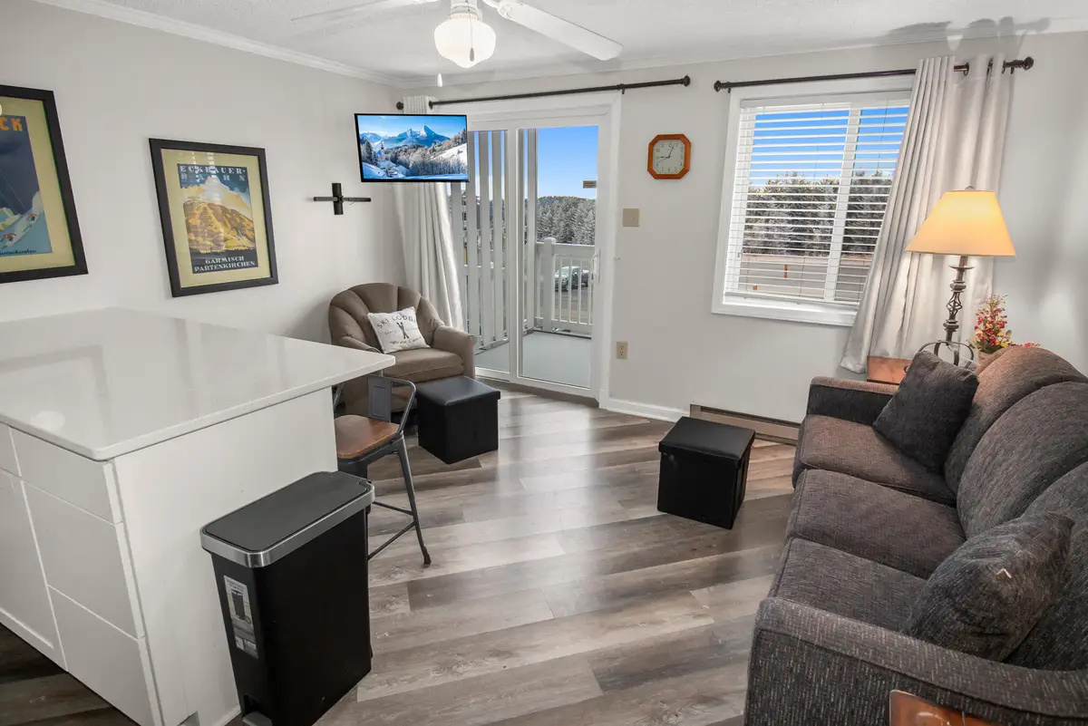 309 Mountain Lodge, Snowshoe, WV 26209 - Image #1