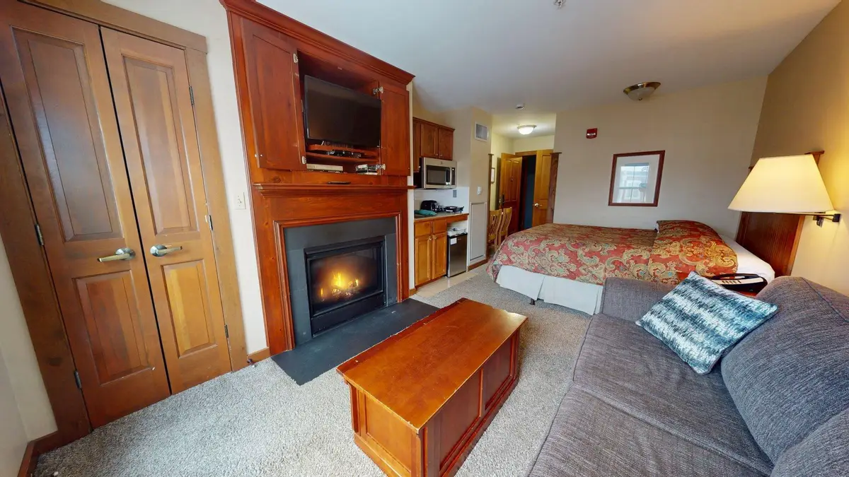 322 83 Allegheny Springs Ln, Snowshoe, WV 26209 - Image #1