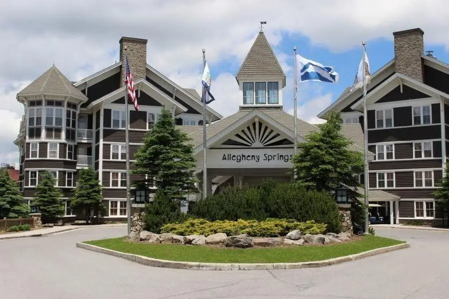 317 Allegheny Springs Lodge, Snowshoe, WV 26209 - Image #1