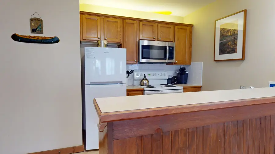 317 Allegheny Springs Lodge, Snowshoe, WV 26209 - Image #3