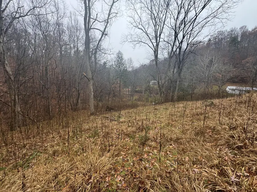 171 Bowles Hollow Rd, Charleston, WV 25311 - Image #2