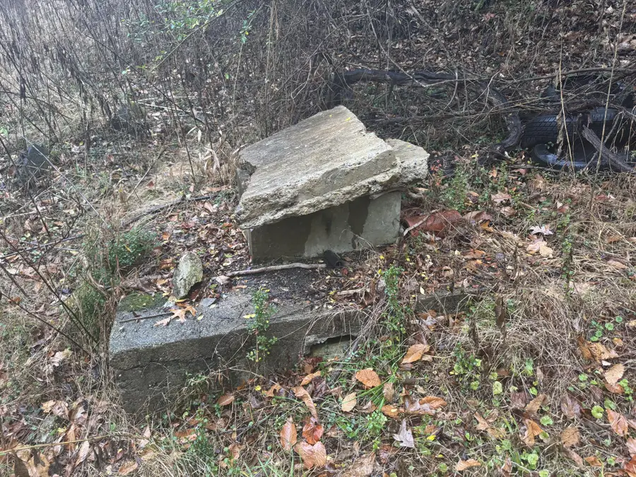 171 Bowles Hollow Rd, Charleston, WV 25311 - Image #3