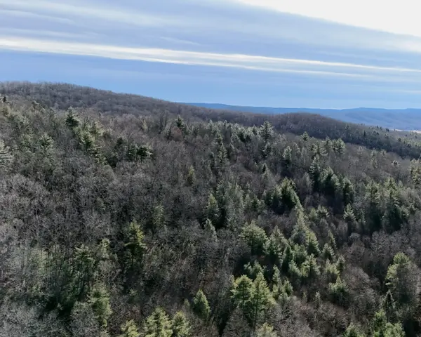 6290 Hollywood Glace Rd., Union, WV 24941