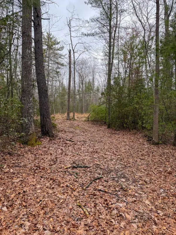 336 Asbury Trce, Lewisburg, WV 24901