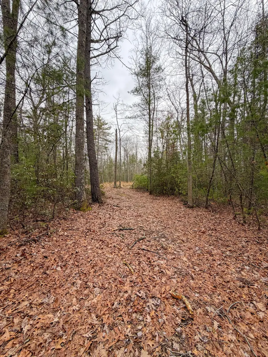 336 Asbury Trce, Lewisburg, WV 24901 - Image #2