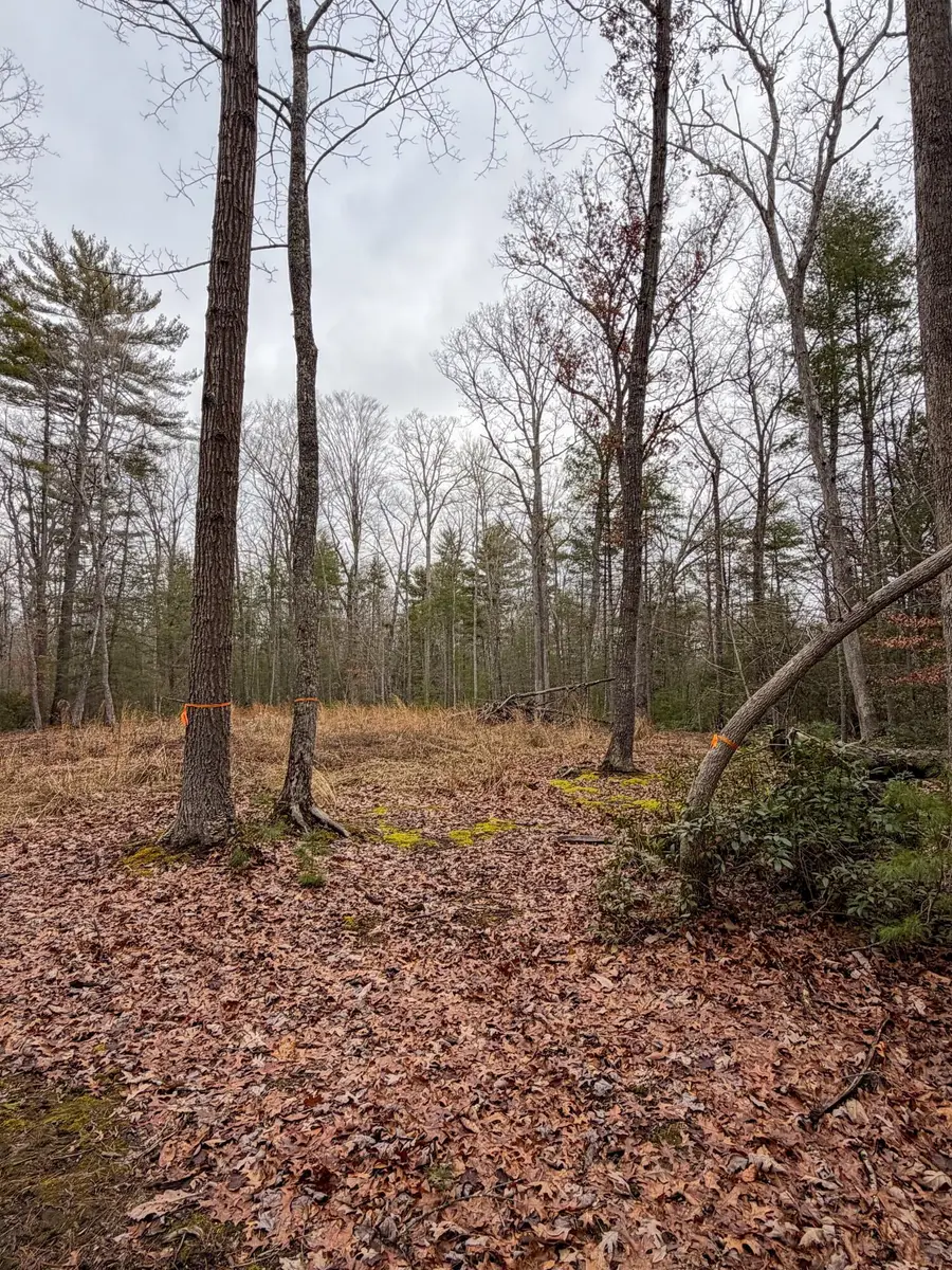 336 Asbury Trce, Lewisburg, WV 24901 - Image #3