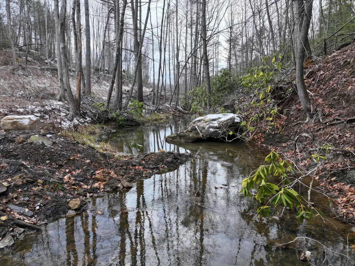 Rt 20 Pipestem Falls, Pipestem, WV 25979 - Image #1