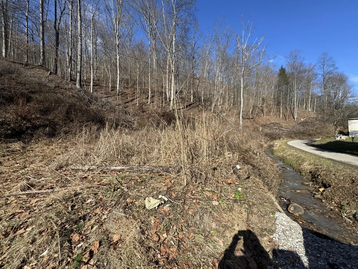 1055 Hurricane Branch Rd, Chapmanville, WV 25508 - #1