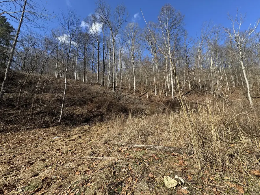1055 Hurricane Branch Rd, Chapmanville, WV 25508 - #2