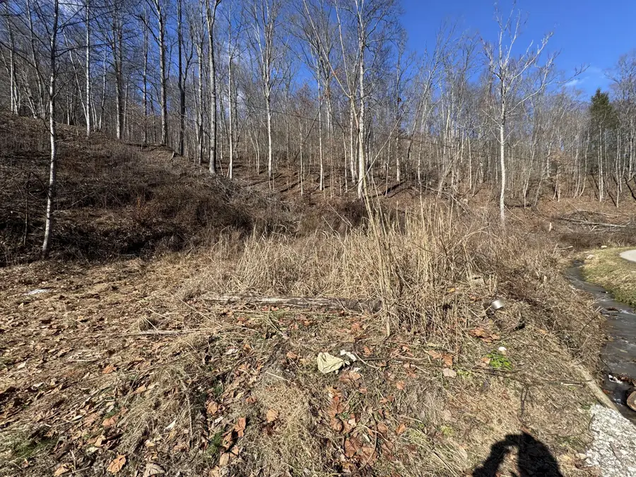 1055 Hurricane Branch Rd, Chapmanville, WV 25508 - #3