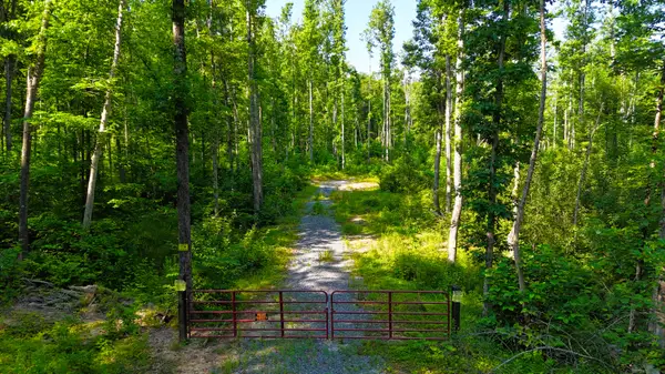 7633 Sewell Creek Rd, Meadow Bridge, WV 25976