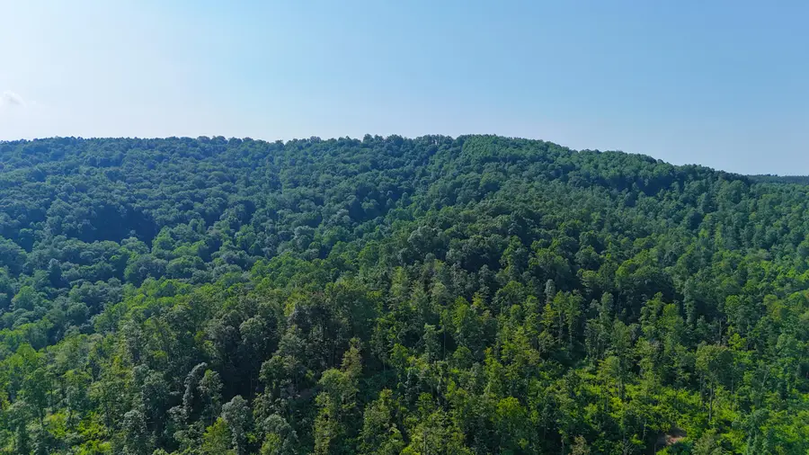 7633 Sewell Creek Rd, Meadow Bridge, WV 25976 - Image #3