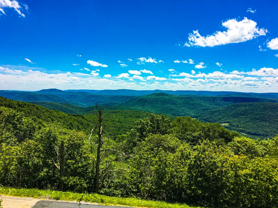 388 South West Ridge Road, Snowshoe, WV 26209 - #2