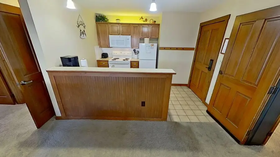 301 Allegheny Springs, Snowshoe, WV 26209 - #3