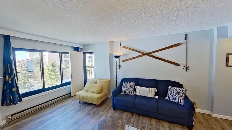 1318 Silver Creek, Snowshoe, WV 26209 - #2