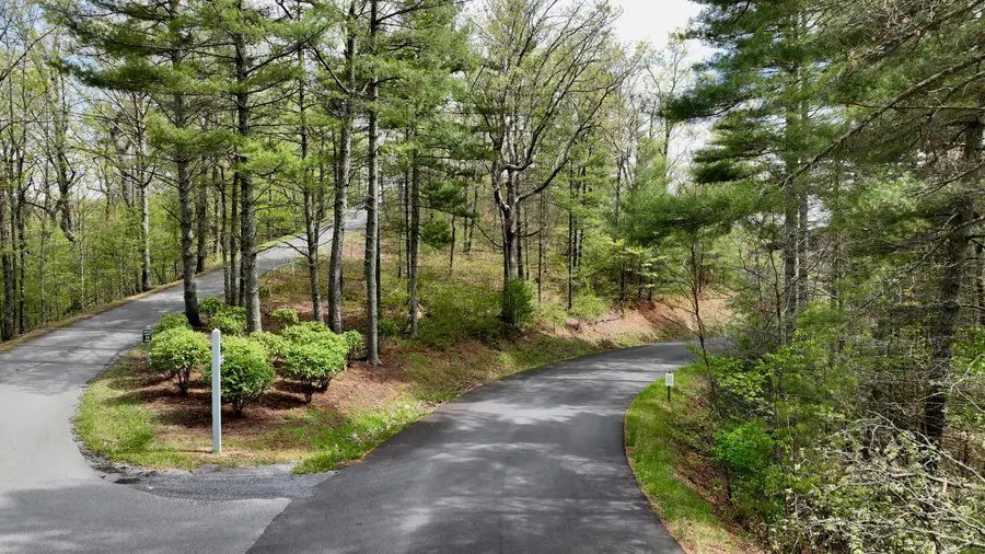 186 Van Buren Rdg, White Sulphur Springs, WV 24986 - Image #3