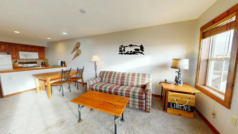 310 Snowshoe Drive, Snowshoe, WV 26209 - Image #3