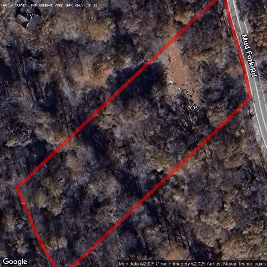 7835 Mud Fork Rd, Western, WV 25649 - #2