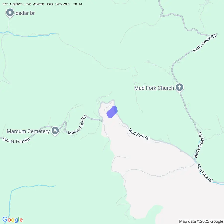 7835 Mud Fork Rd, Western, WV 25649 - #3