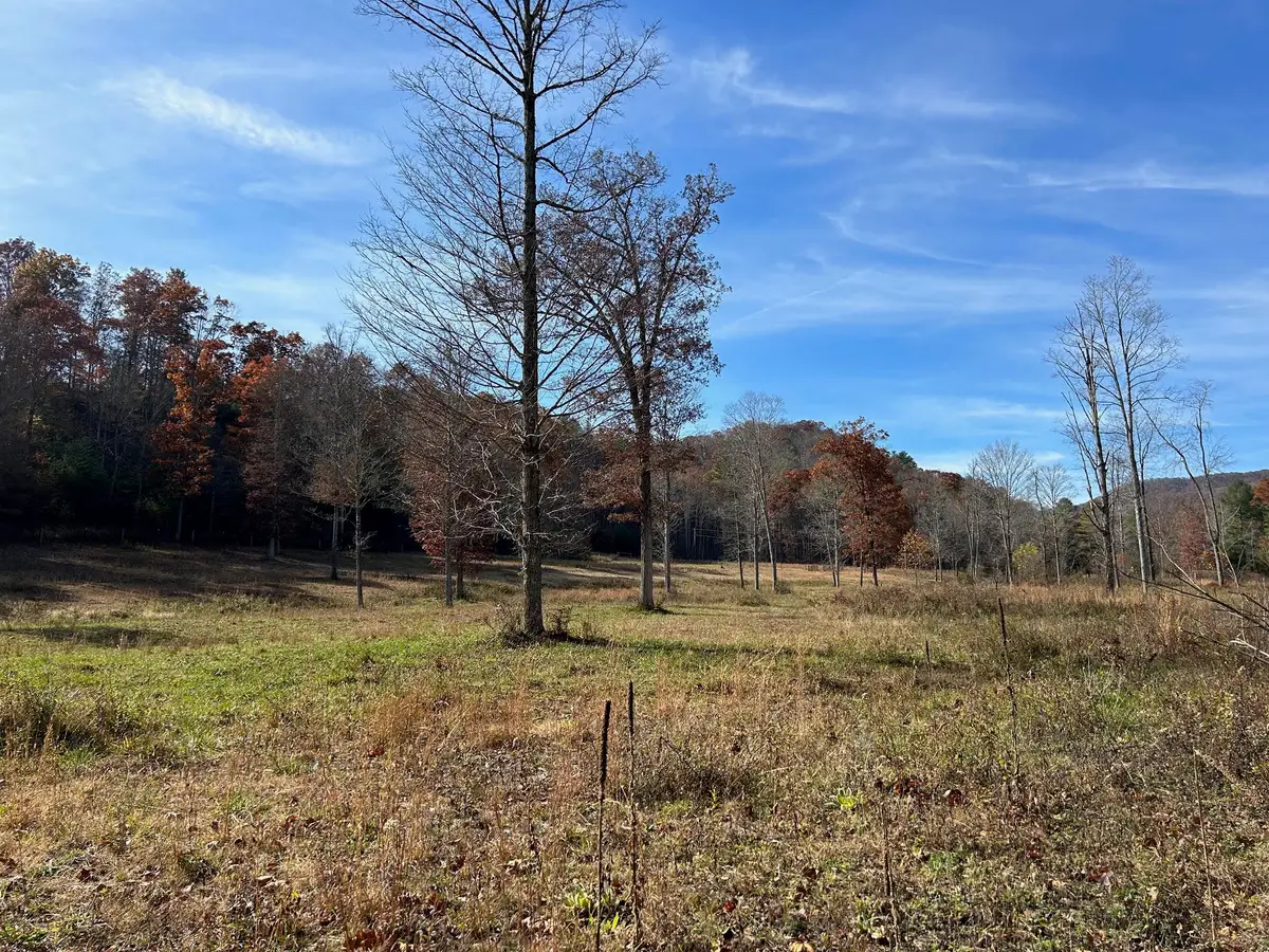 Dutch Hollow Rd, White Sulphur Springs, WV 24986 - Image #1