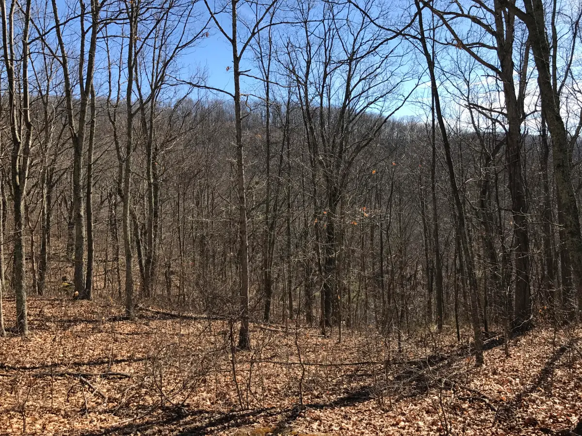Lot 39 Wildwood Rdg, Caldwell, WV 24925 - Image #1