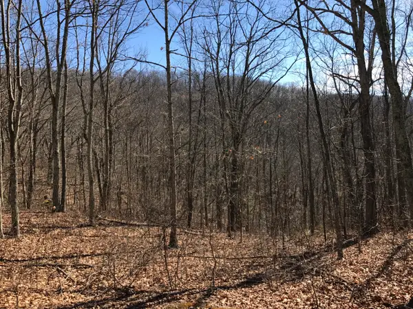 Lot 39 Wildwood Rdg, Caldwell, WV 24925