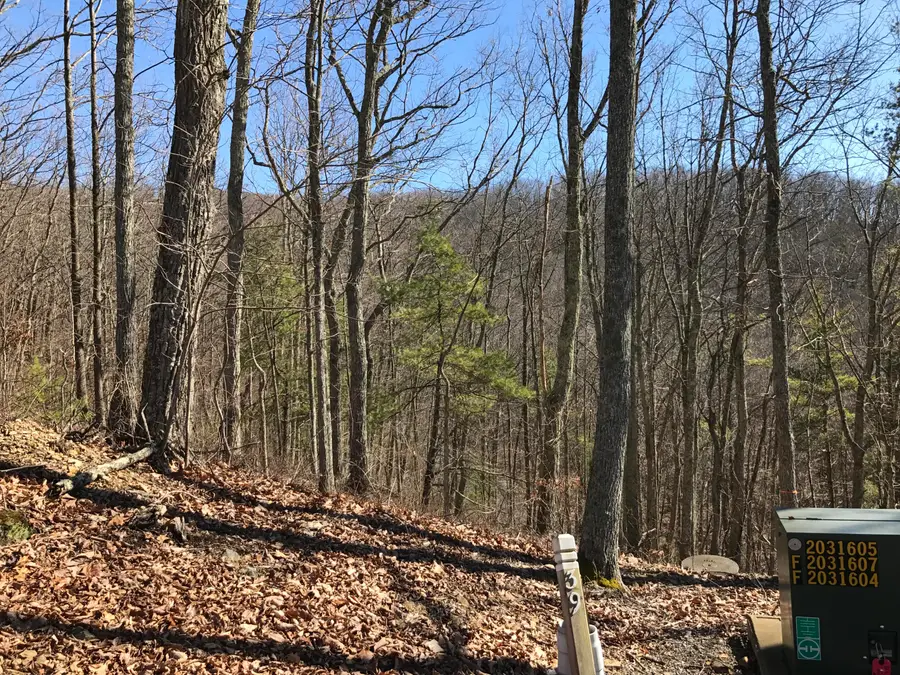 Lot 39 Wildwood Rdg, Caldwell, WV 24925 - Image #2