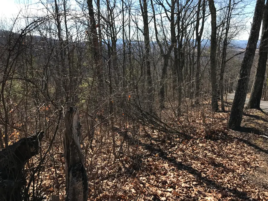 Lot 39 Wildwood Rdg, Caldwell, WV 24925 - Image #3