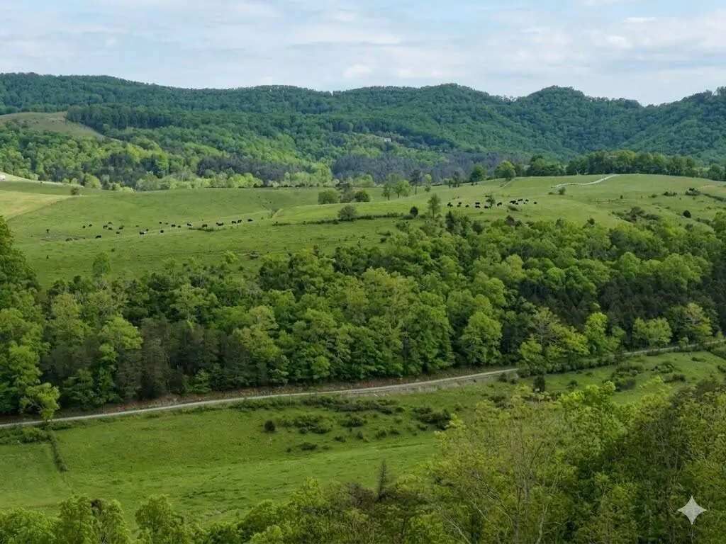 594 D Little Wolf Creek Rd, Hinton, WV 25951 - #1