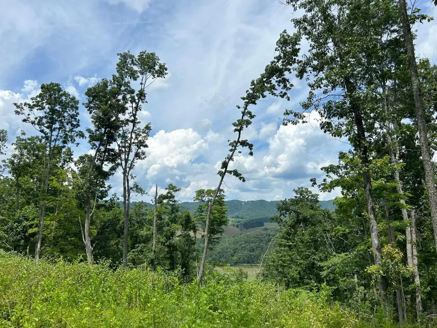 594 D Little Wolf Creek Rd, Hinton, WV 25951 - #2