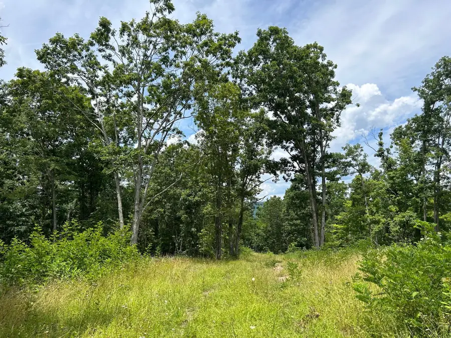594 D Little Wolf Creek Rd, Hinton, WV 25951 - #3