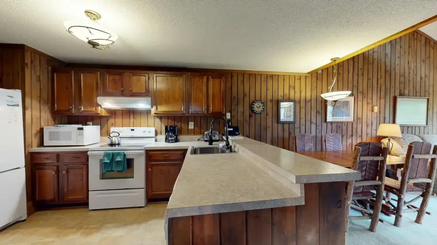 4 200 Wabasso Drive, Snowshoe, WV 26209 - #2