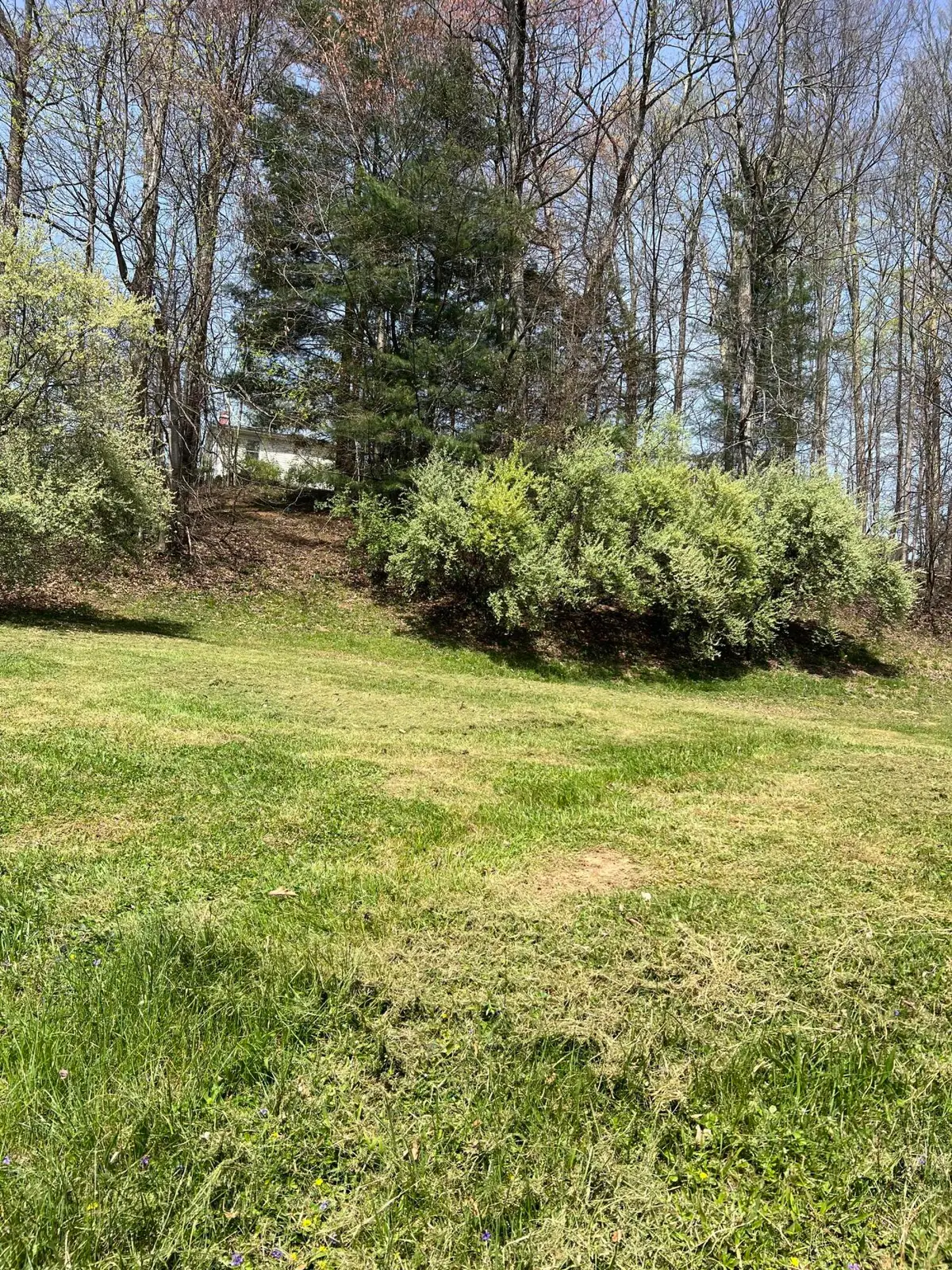 433 Ashley Ln, Summersville, WV 26651 - Image #1