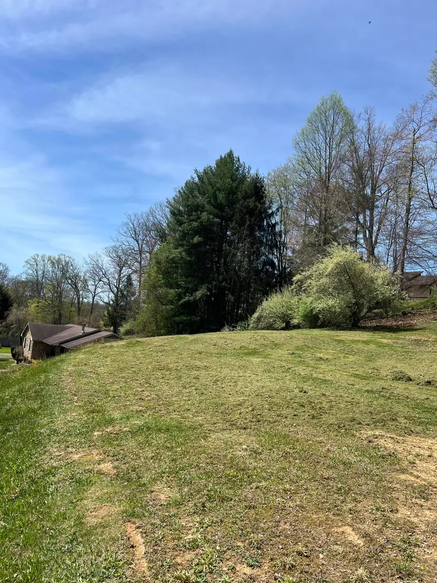 433 Ashley Ln, Summersville, WV 26651 - Image #2