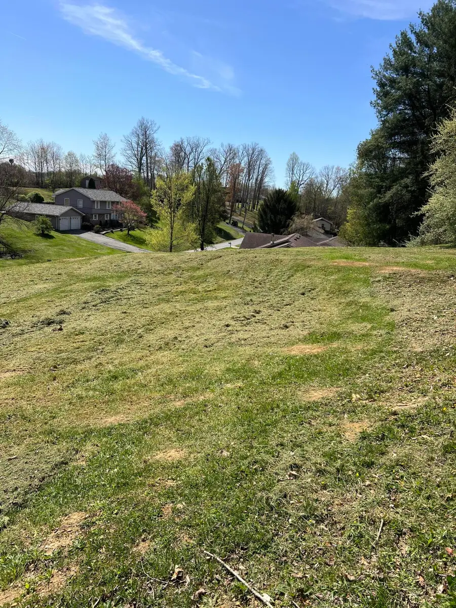 433 Ashley Ln, Summersville, WV 26651 - Image #3