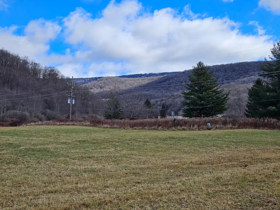 Tract 4 Big Spring Elk, Slatyfork, WV 26291 - Image #2