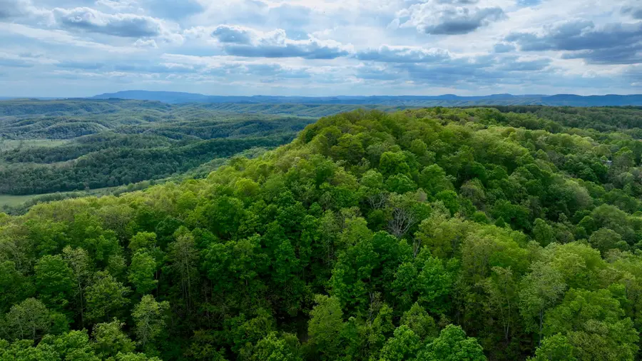 Tbd Chestnut Flats, Lewisburg, WV 24901 - Image #2